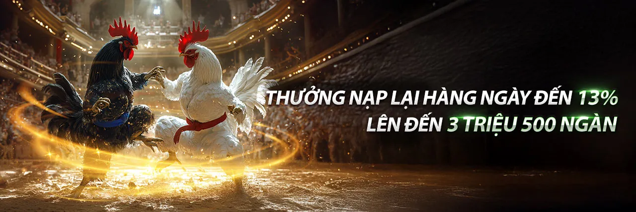 Đa dạng các môn cá cược thể thao tại OK368